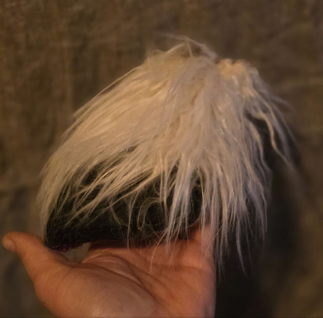 Fluffy Anatomie klein