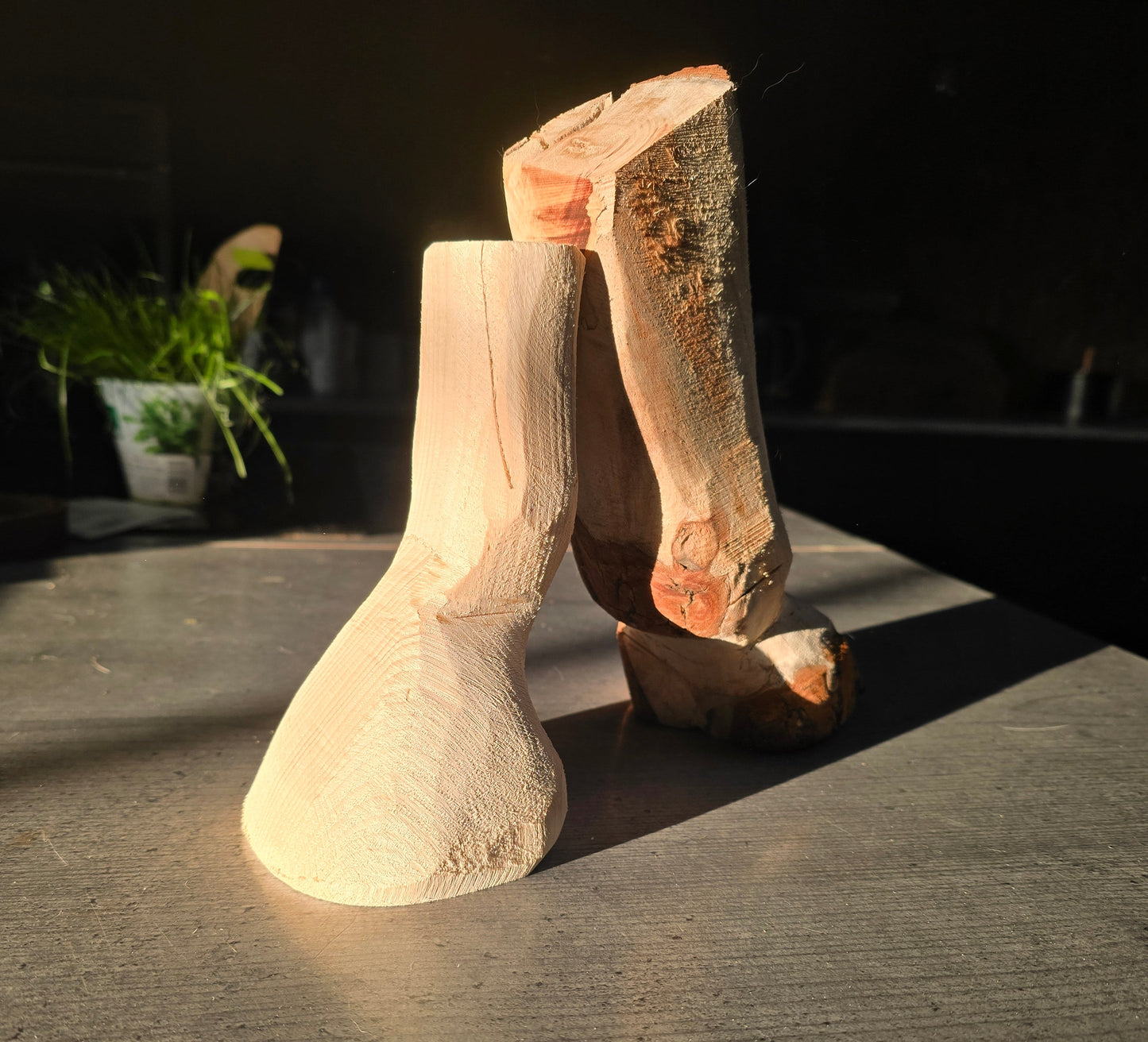 Hobby Hoof Trimming Set